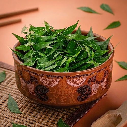 Neem leaves