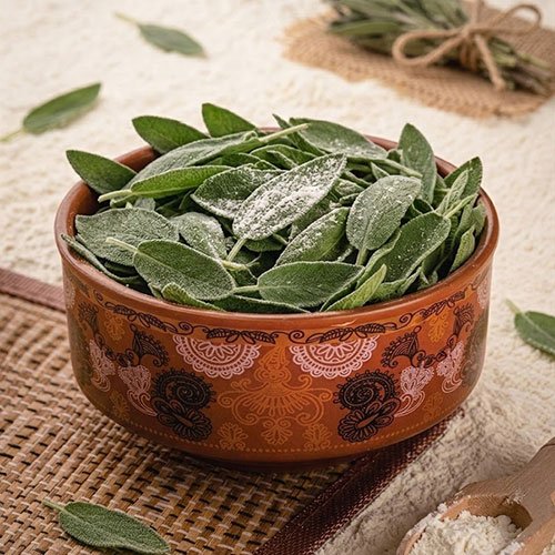 Sage Leaves