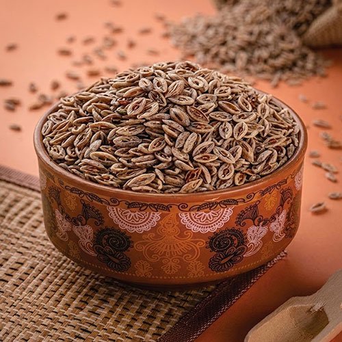 Psyllium Seeds