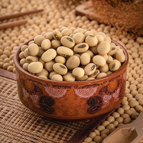 Soybean Seeds