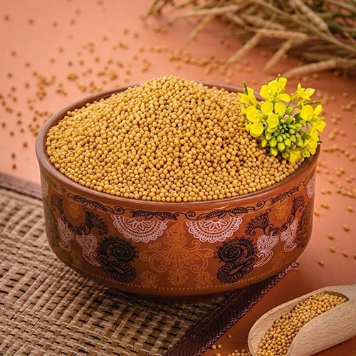 Yellow Mustard Seeds